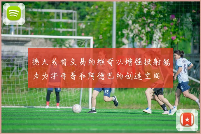 热火或将交易约维奇以增强投射能力为字母哥和阿德巴约创造空间